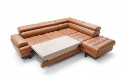 selva_l-1